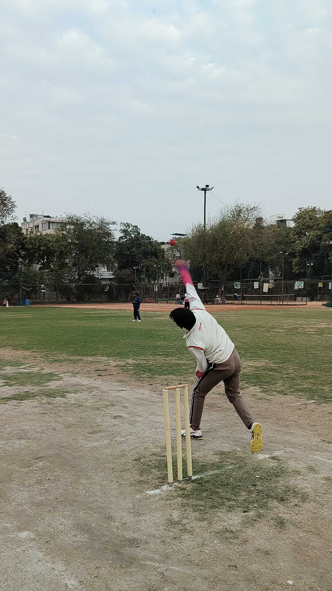 prpcl2025 2024 highlights